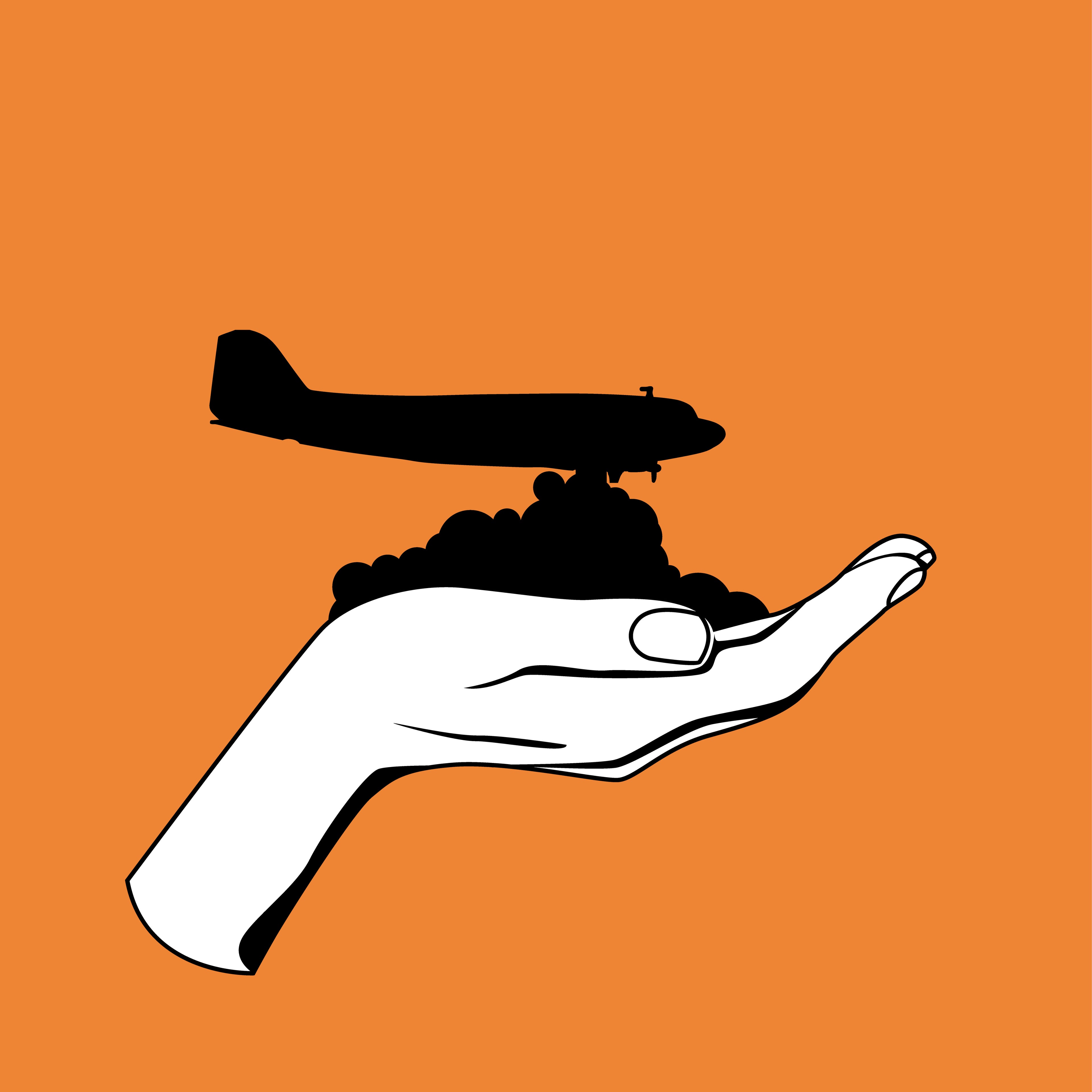 The Airplane